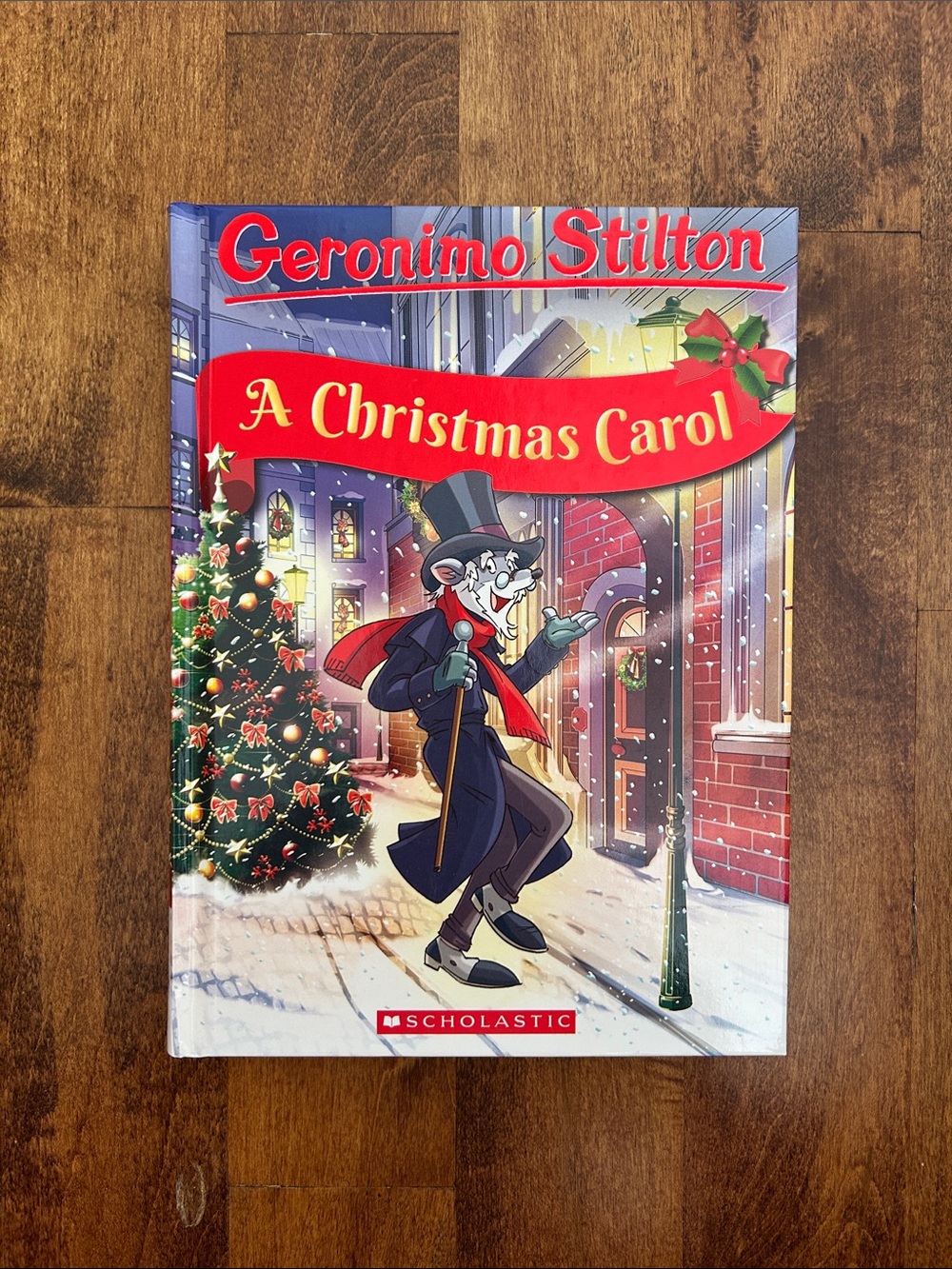 Geronimo Stilton Hard Cover Book